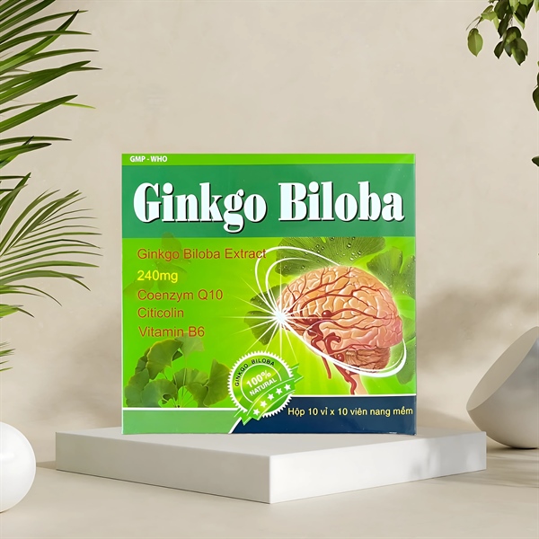 Bổ não Ginkgo Biloba SP001049